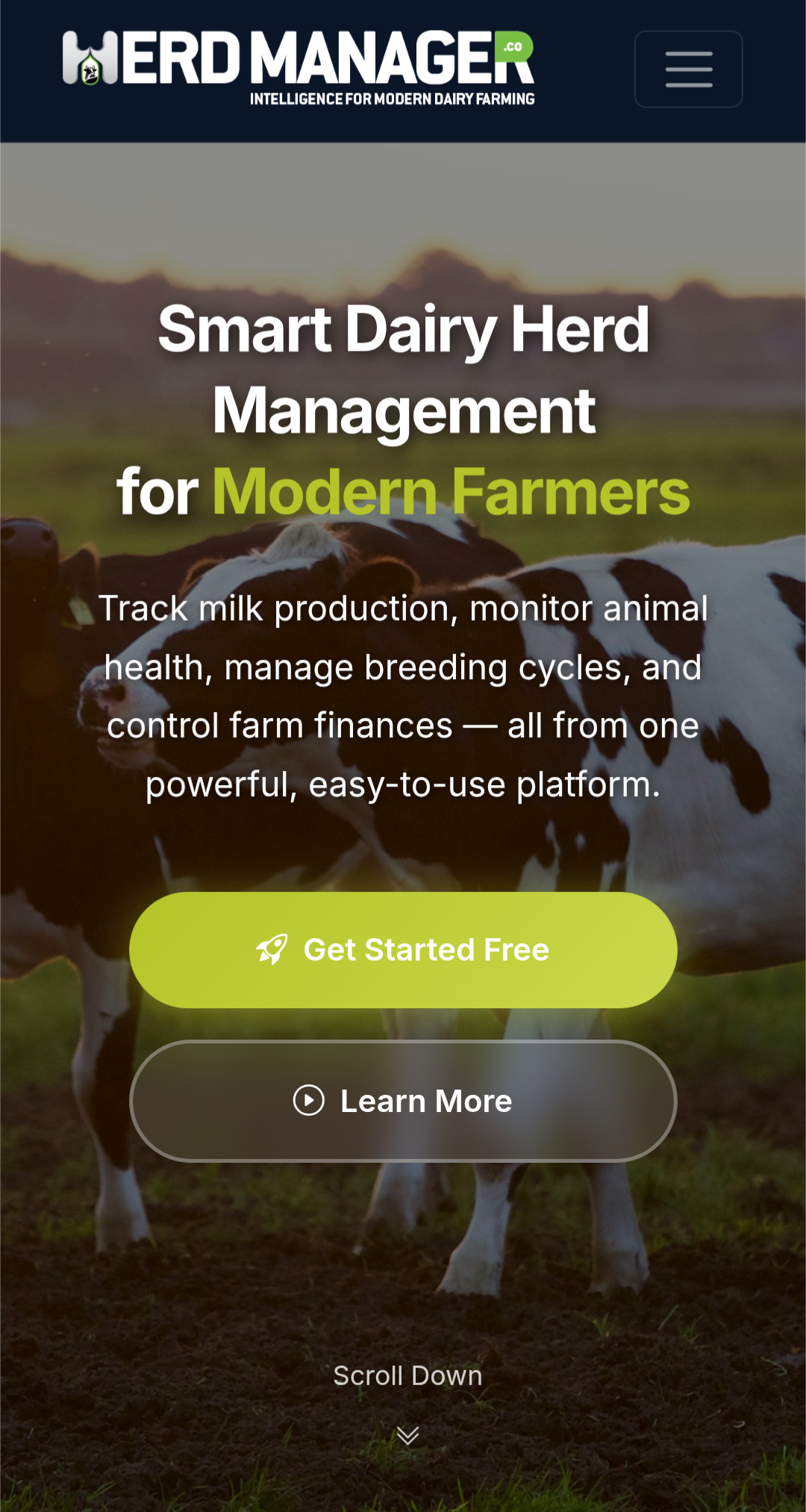 Herd Manager mobile app — dashboard screen
